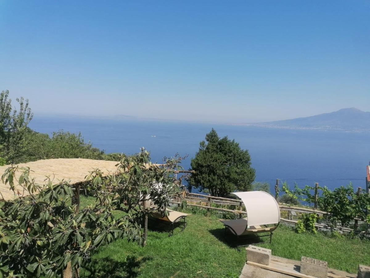 فيلا La Badia Montechiaro - Breathtaking View Of Sorrento Coast فيكو إيكوينس المظهر الخارجي الصورة