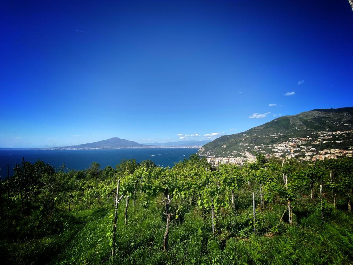 فيلا La Badia Montechiaro - Breathtaking View Of Sorrento Coast فيكو إيكوينس المظهر الخارجي الصورة