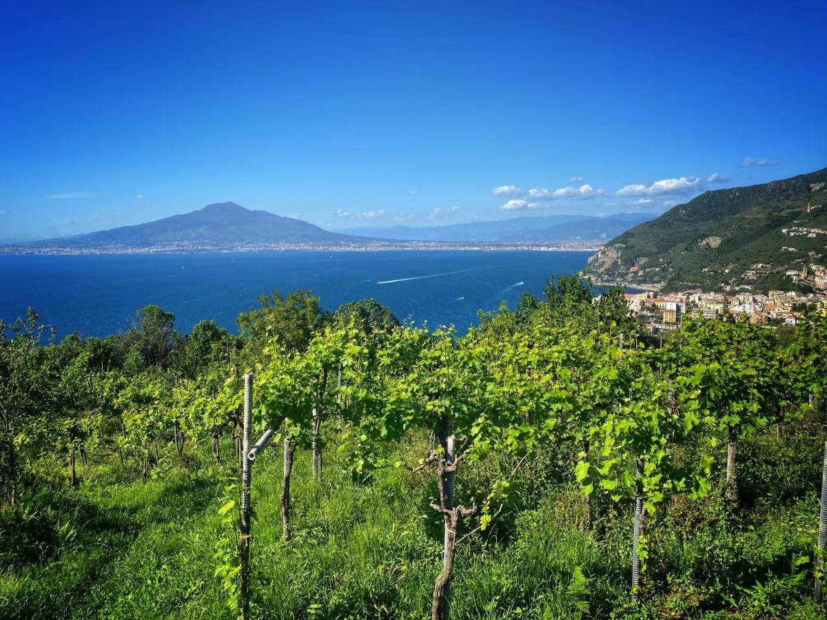 فيلا La Badia Montechiaro - Breathtaking View Of Sorrento Coast فيكو إيكوينس المظهر الخارجي الصورة