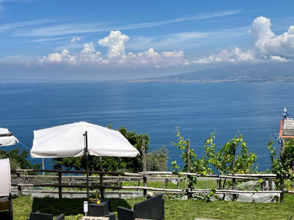 فيلا La Badia Montechiaro - Breathtaking View Of Sorrento Coast فيكو إيكوينس المظهر الخارجي الصورة