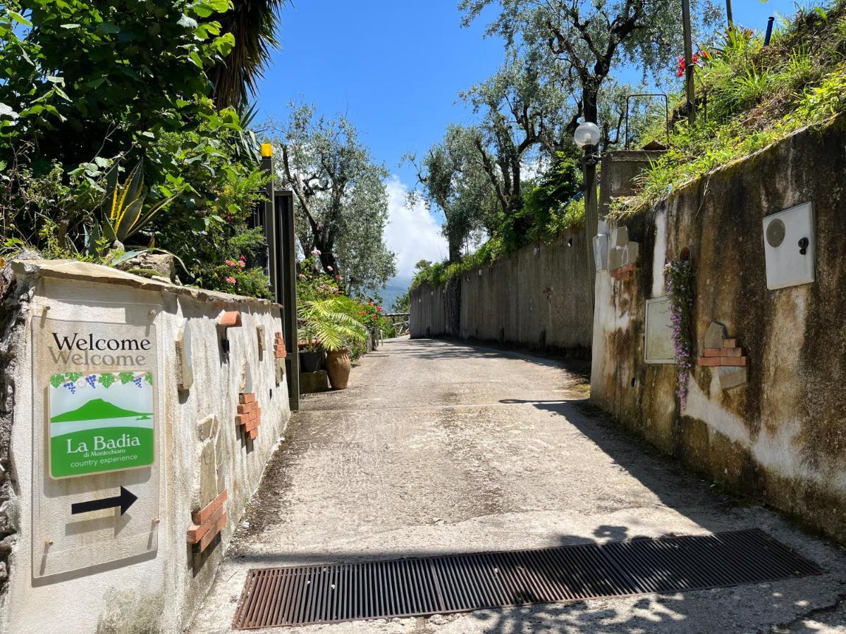 فيلا La Badia Montechiaro - Breathtaking View Of Sorrento Coast فيكو إيكوينس المظهر الخارجي الصورة
