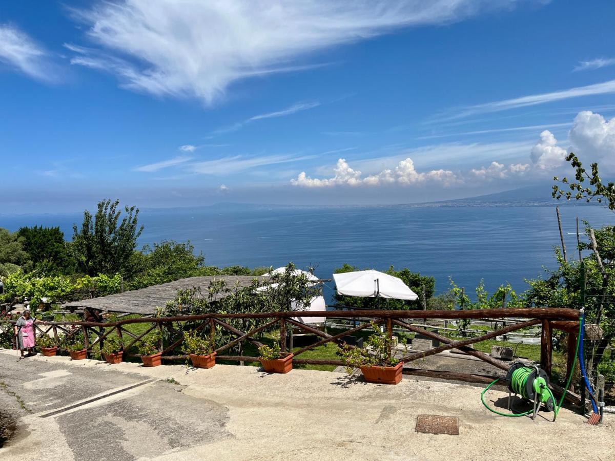 فيلا La Badia Montechiaro - Breathtaking View Of Sorrento Coast فيكو إيكوينس المظهر الخارجي الصورة